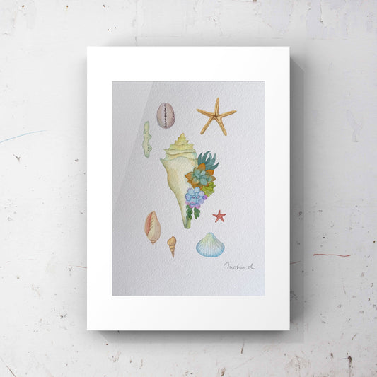 Memory 拾い集めた貝殻、夏の思い出