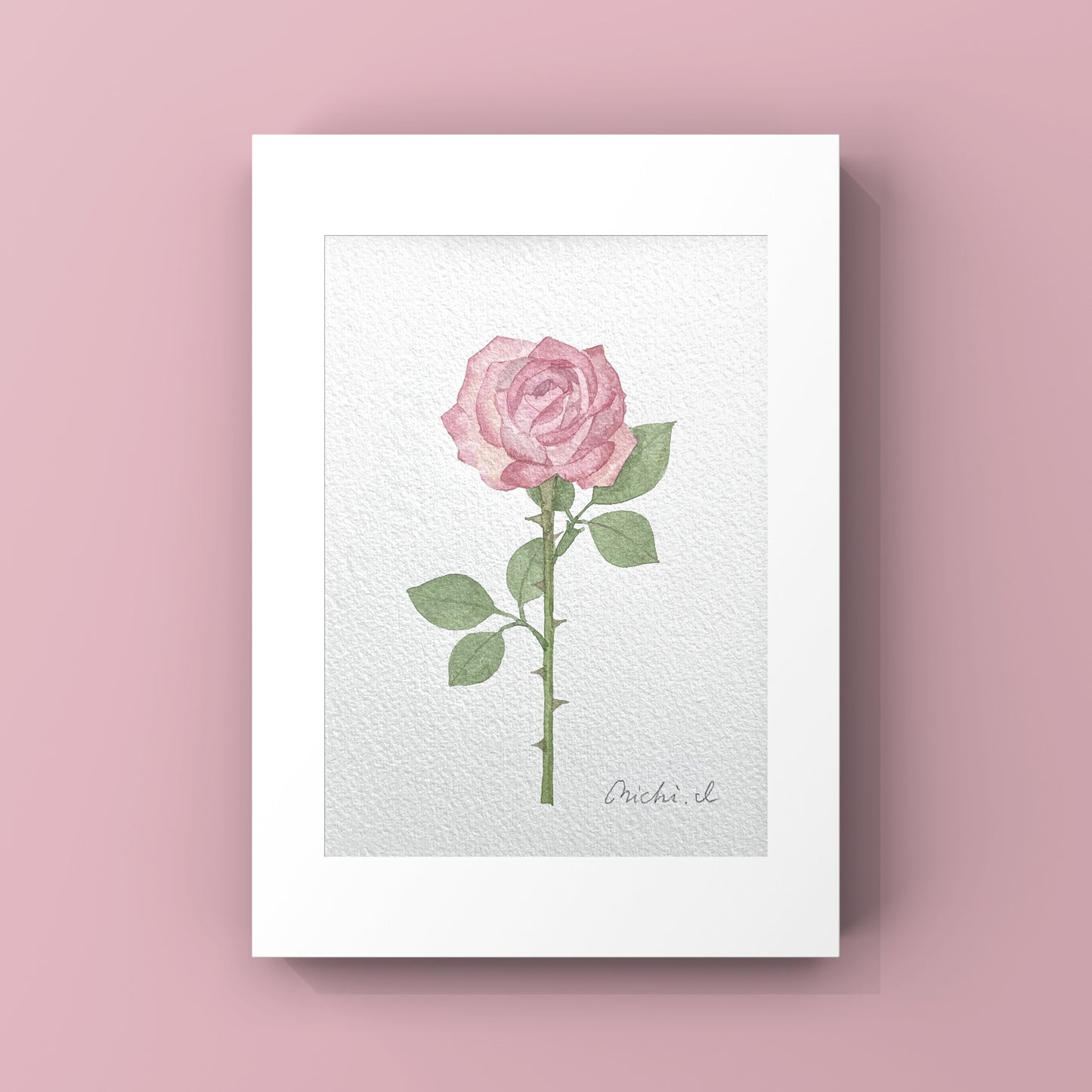 Rose 01