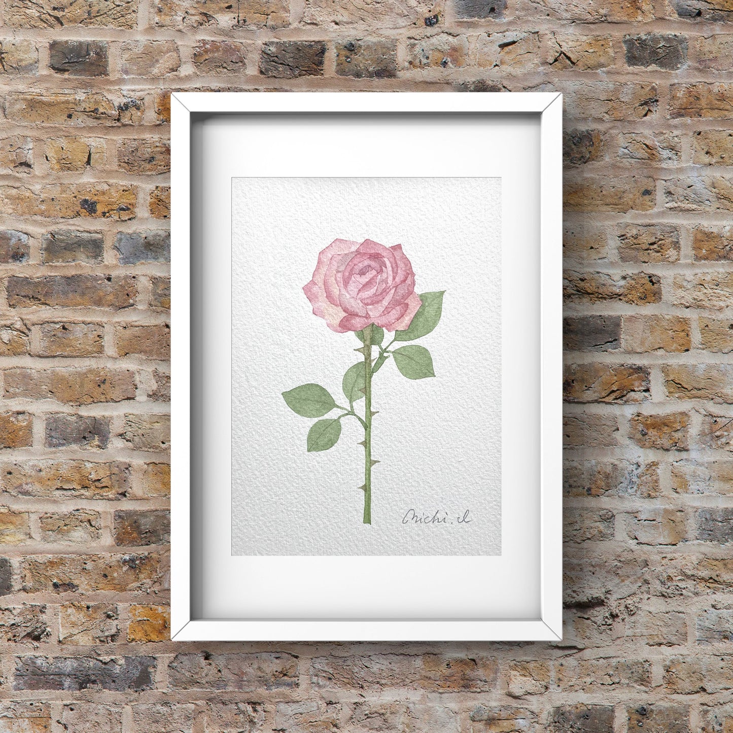 Rose 01
