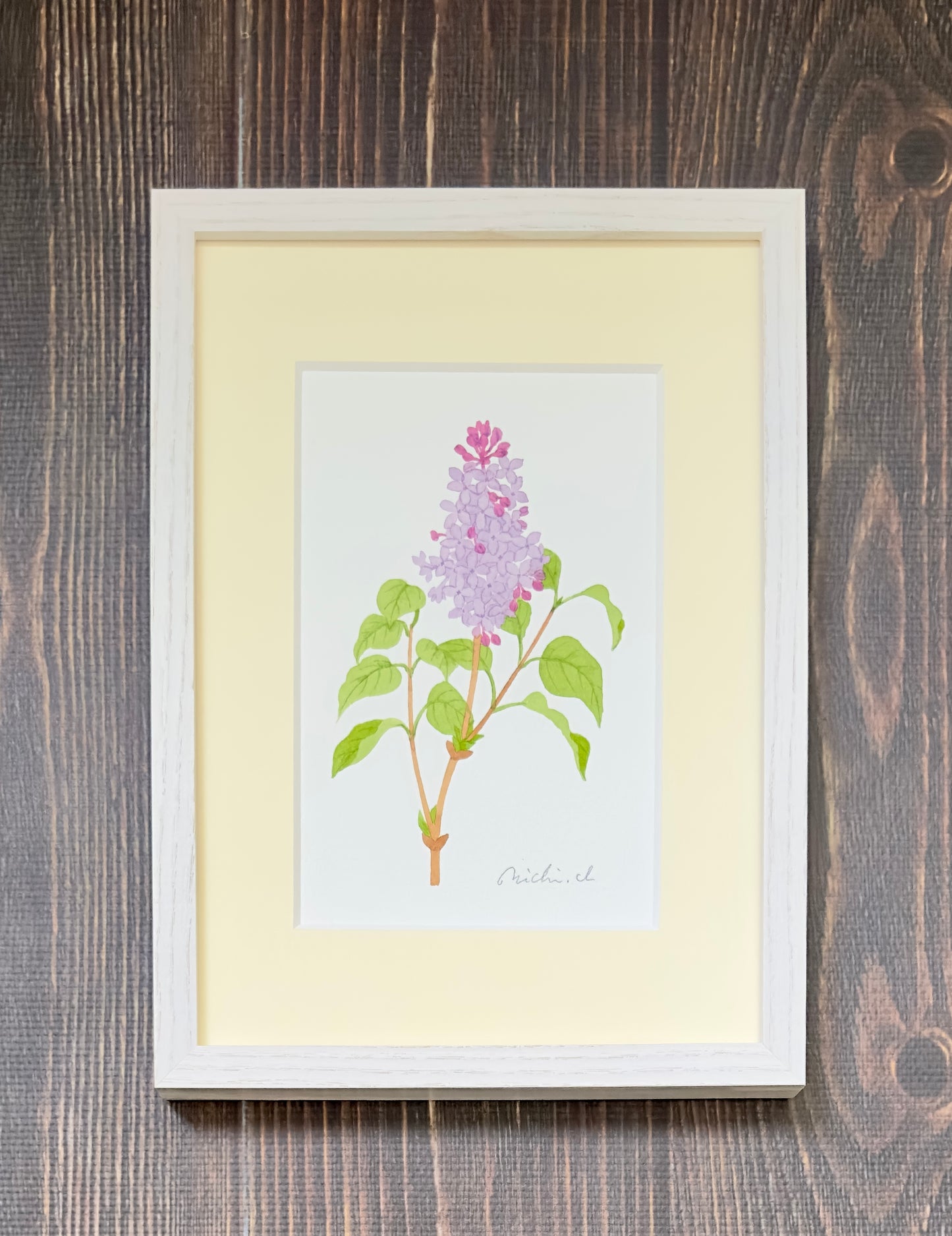 Lilac 01