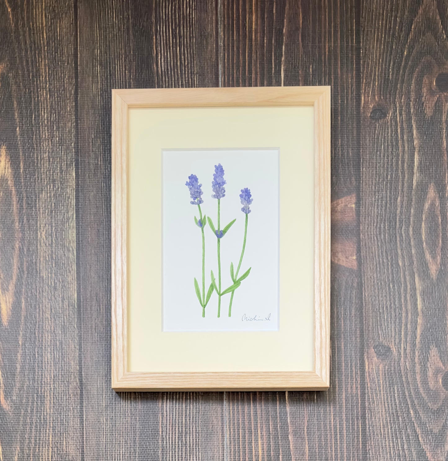 Lavender 01