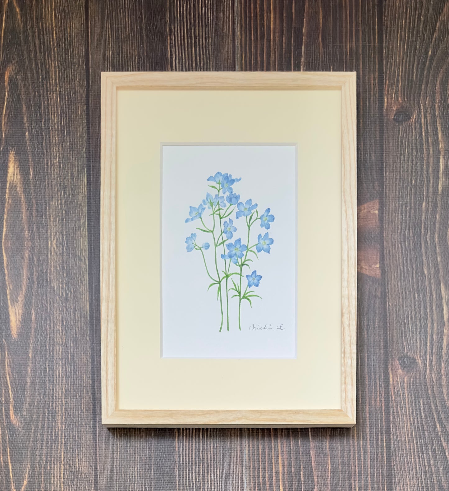 Delphinium 01