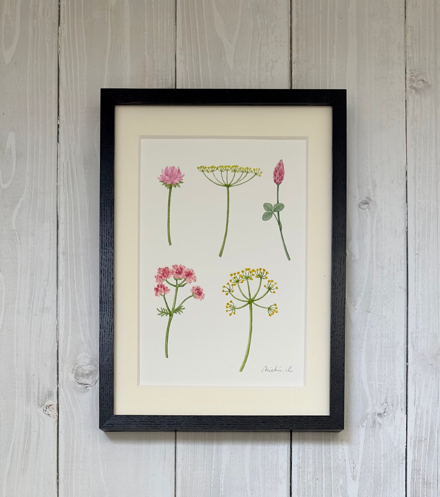 Flowering plants 01