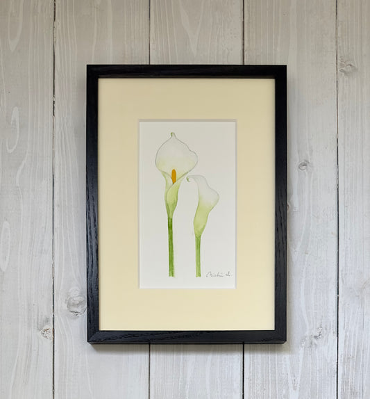 Calla lily 01