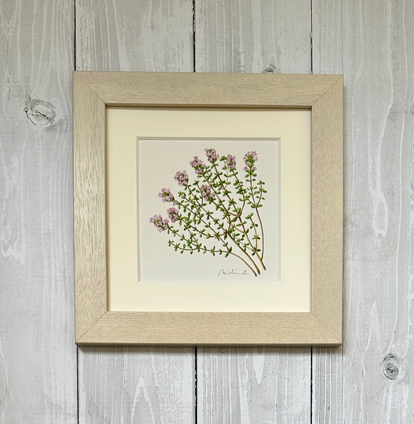 Thyme 01