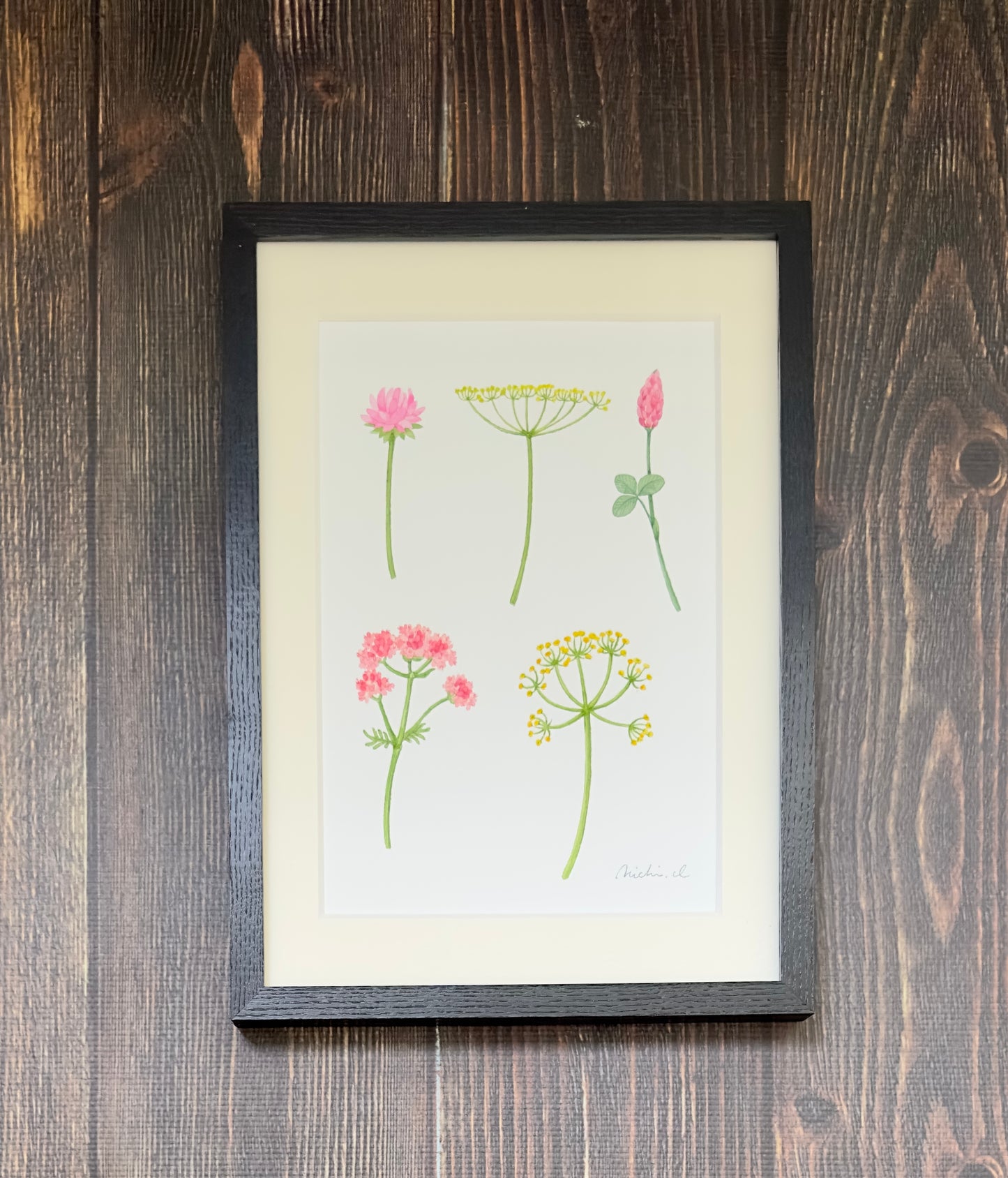 Flowering plants 01