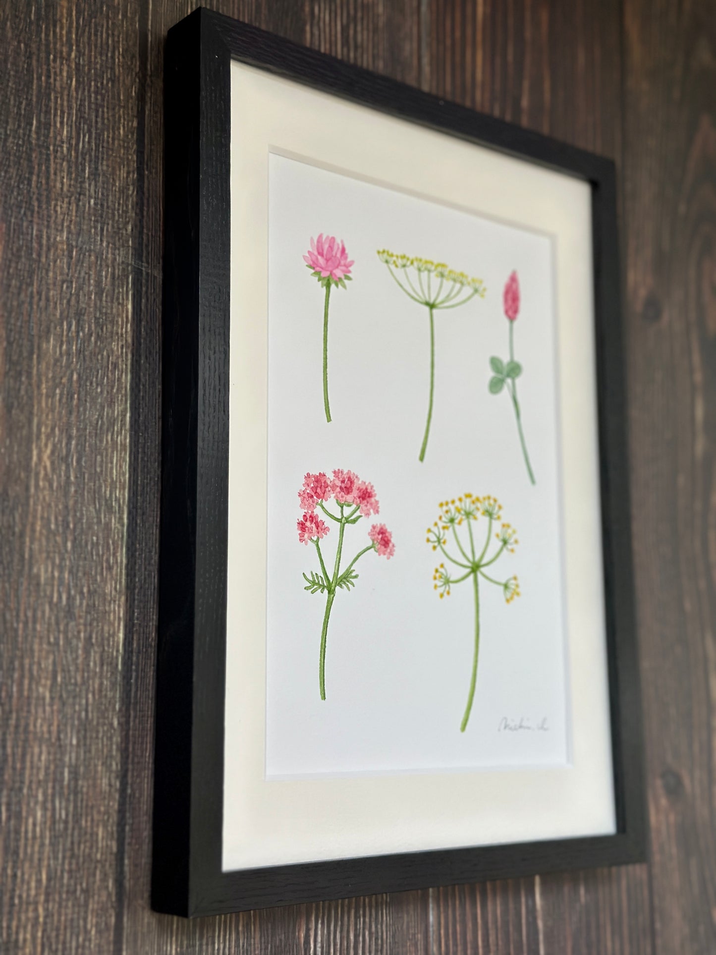 Flowering plants 01