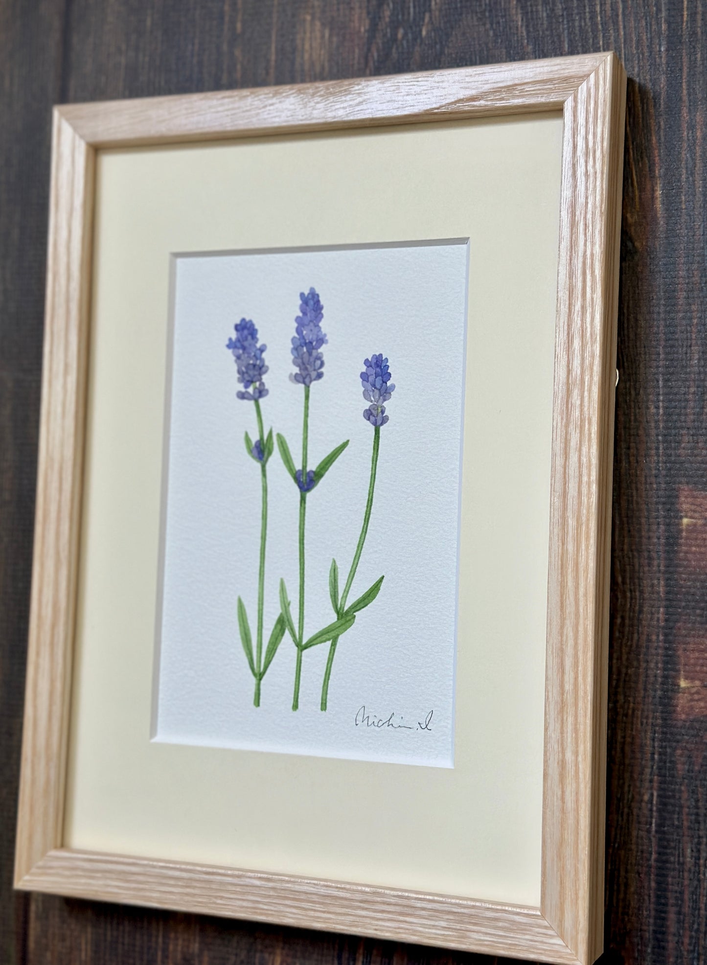 Lavender 01