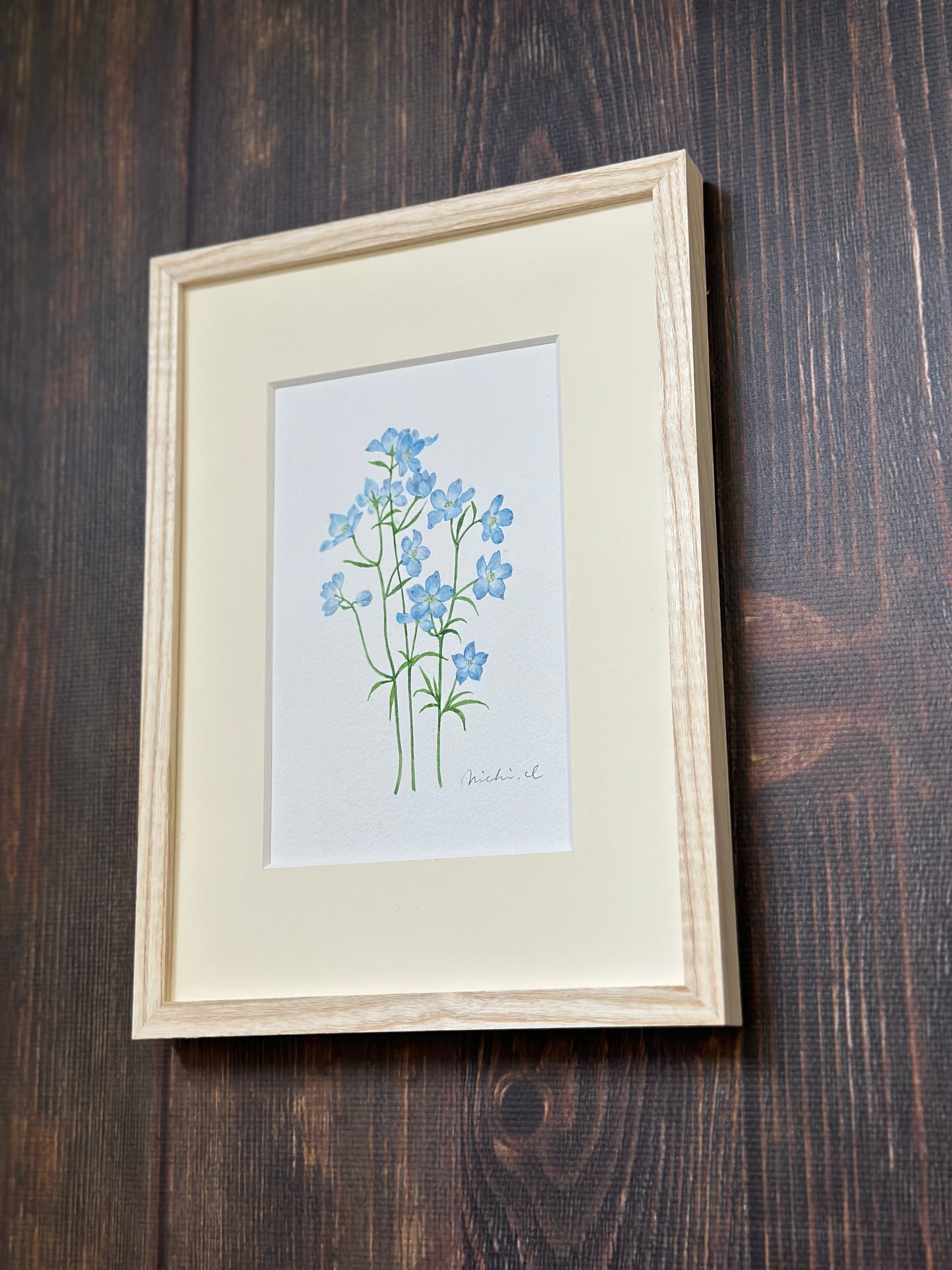 Delphinium 01