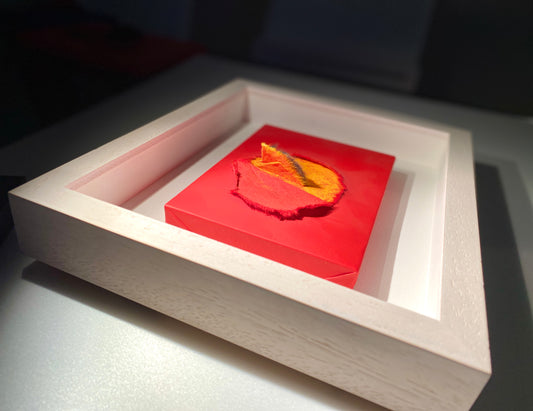 彩相Ⅰシリーズ No.2907