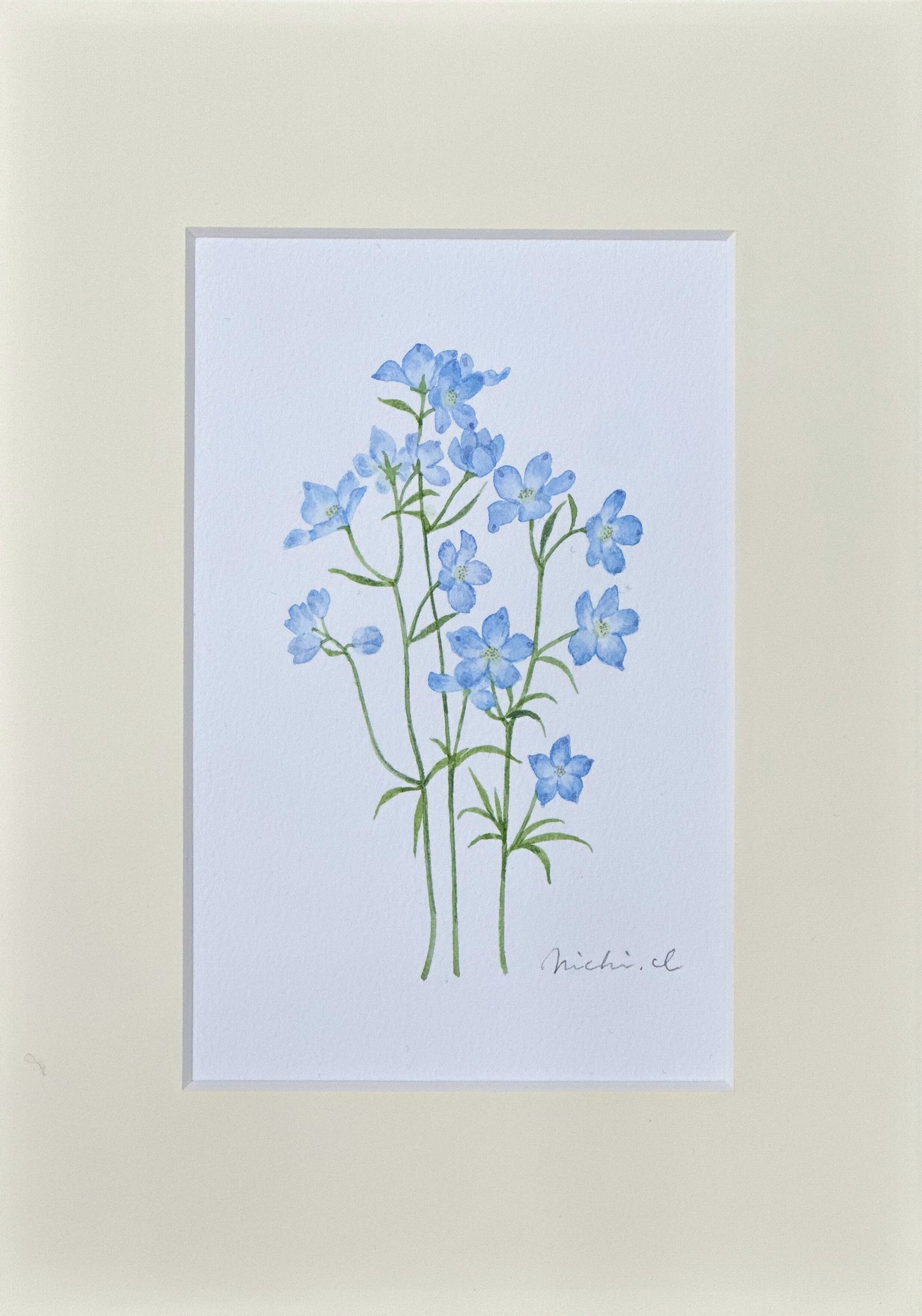 Delphinium 01
