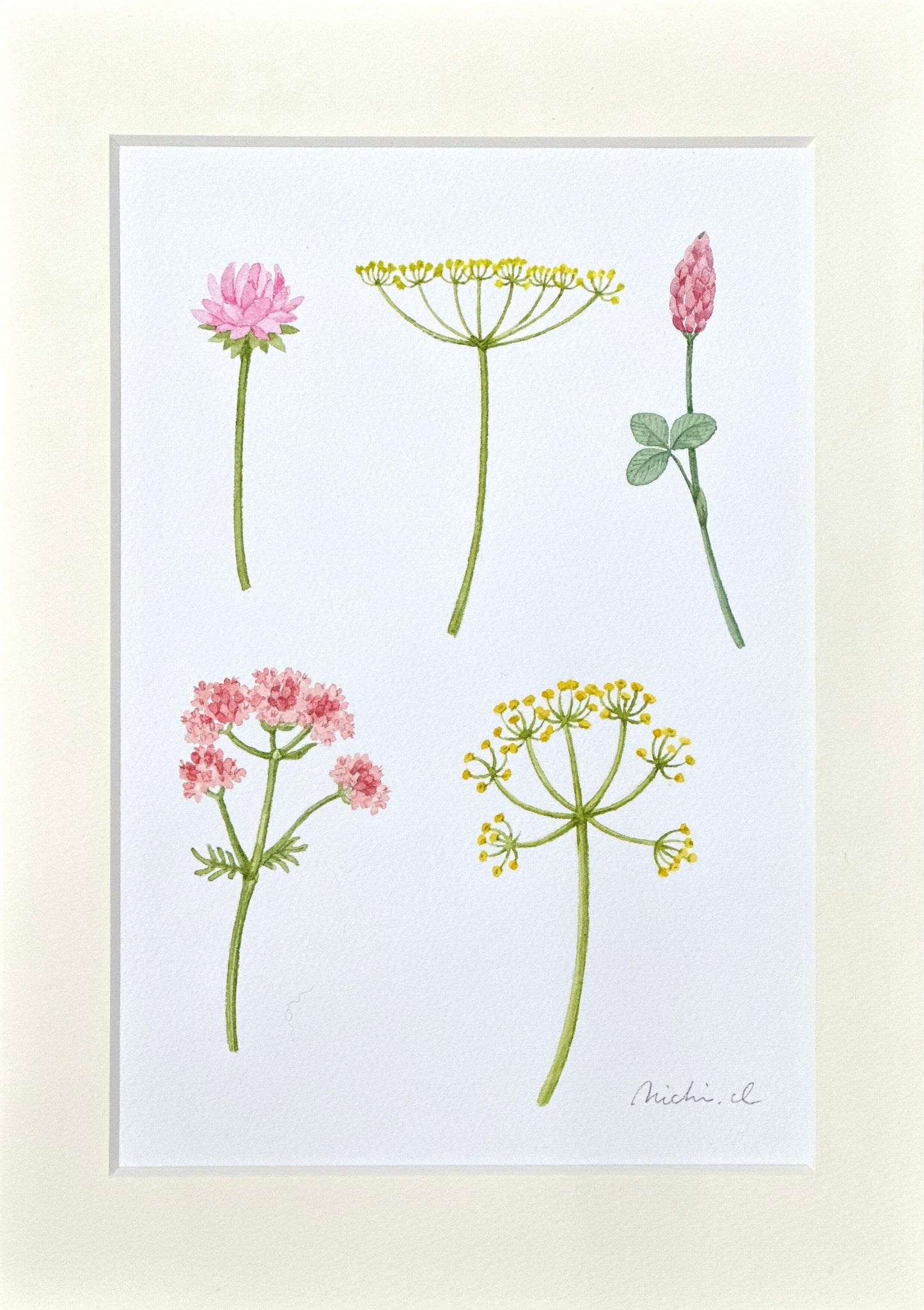 Flowering plants 01