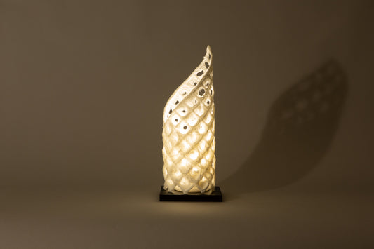 『かぐや姫』(コードレス) 残り5点