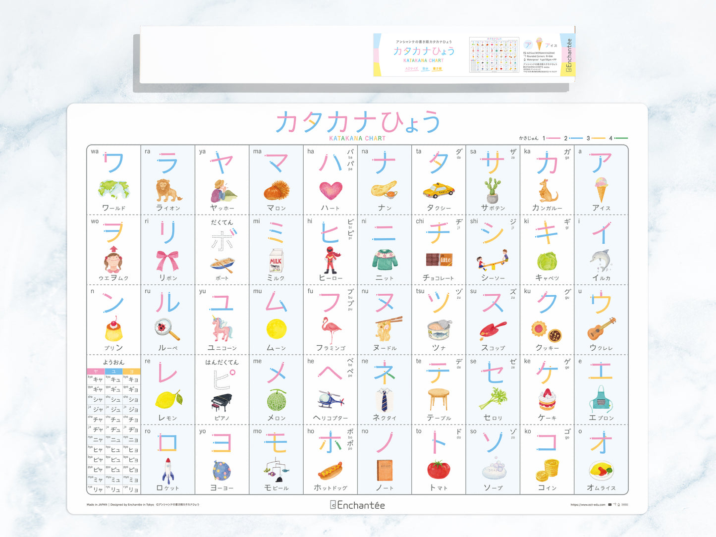 書き順カタカナひょう【KATAKANA CHART】防水・A2・書き順