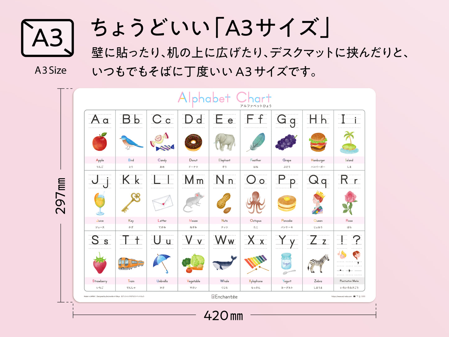 アルファベットひょう【Alphabet Chart】A3・角丸・防水