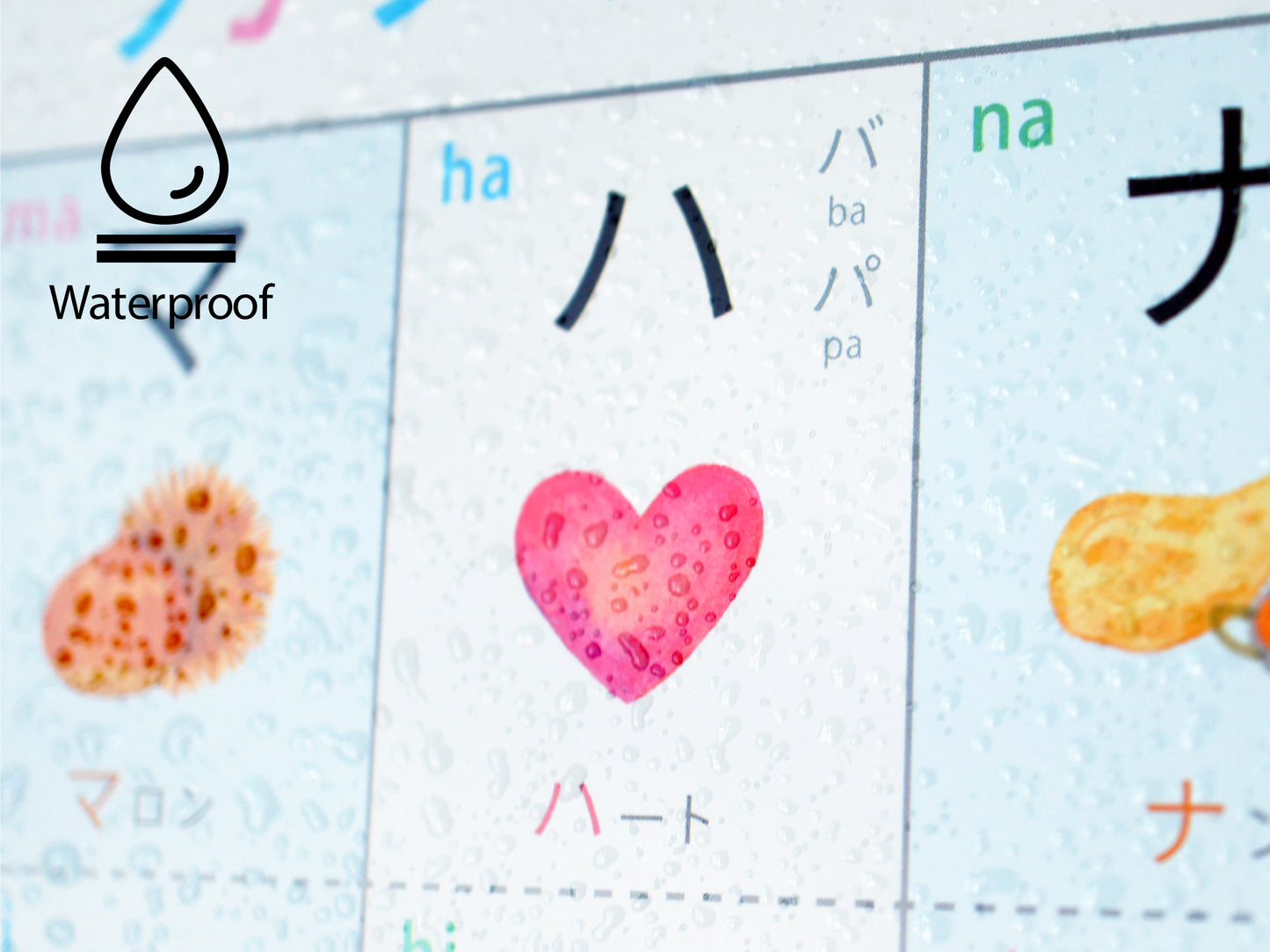 カタカナひょう【KATAKANA CHART】A3・角丸・防水