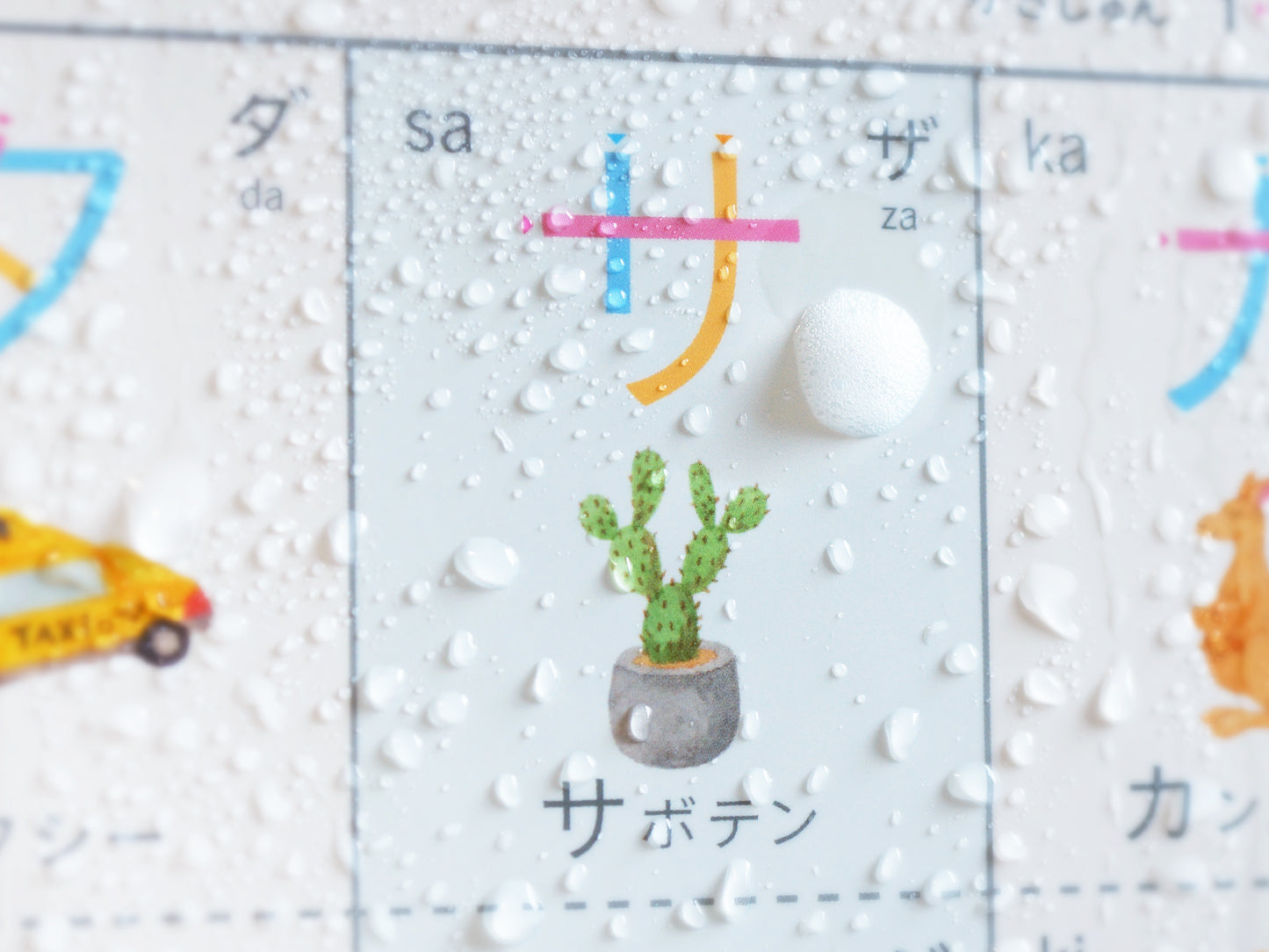 書き順カタカナひょう【KATAKANA CHART】防水・A2・書き順