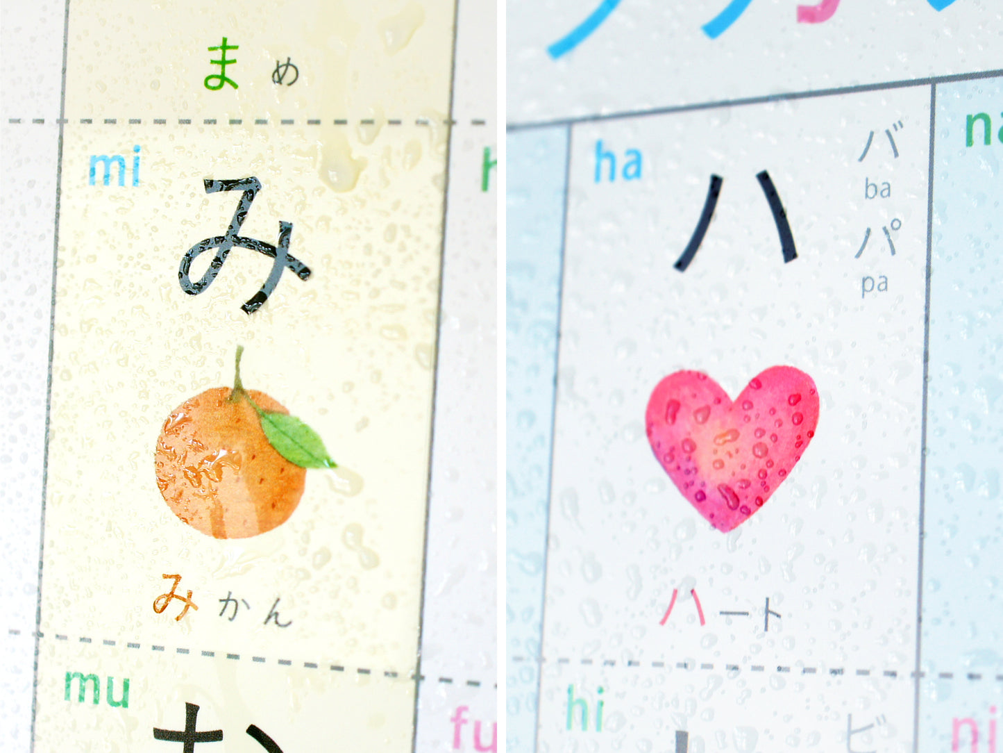 ひらがな・カタカナひょう2枚セット【HIRAGANA｜KATAKANA】A3・角丸・防水