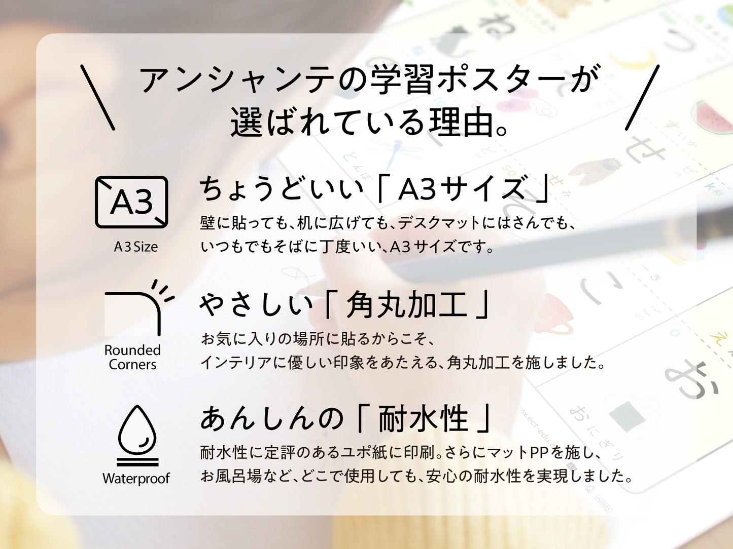 学習ポスター4枚セット【ひらがな｜カタカナ｜すうじ｜アルファベット】 A3・角丸・防水