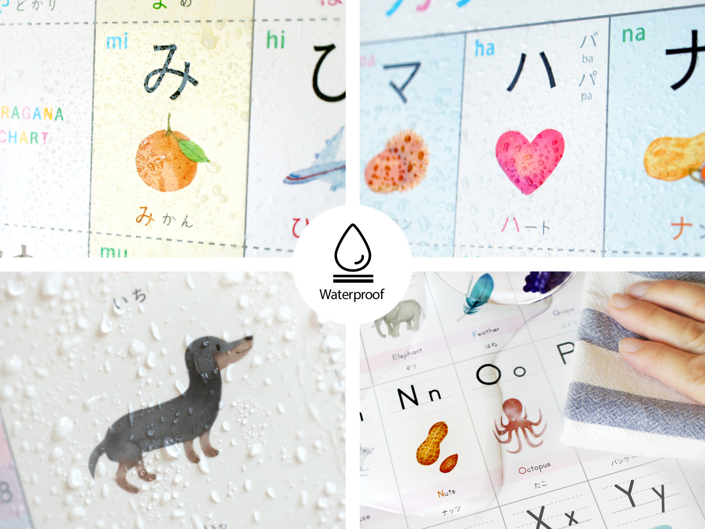 学習ポスター4枚セット【ひらがな｜カタカナ｜すうじ｜アルファベット】 A3・角丸・防水