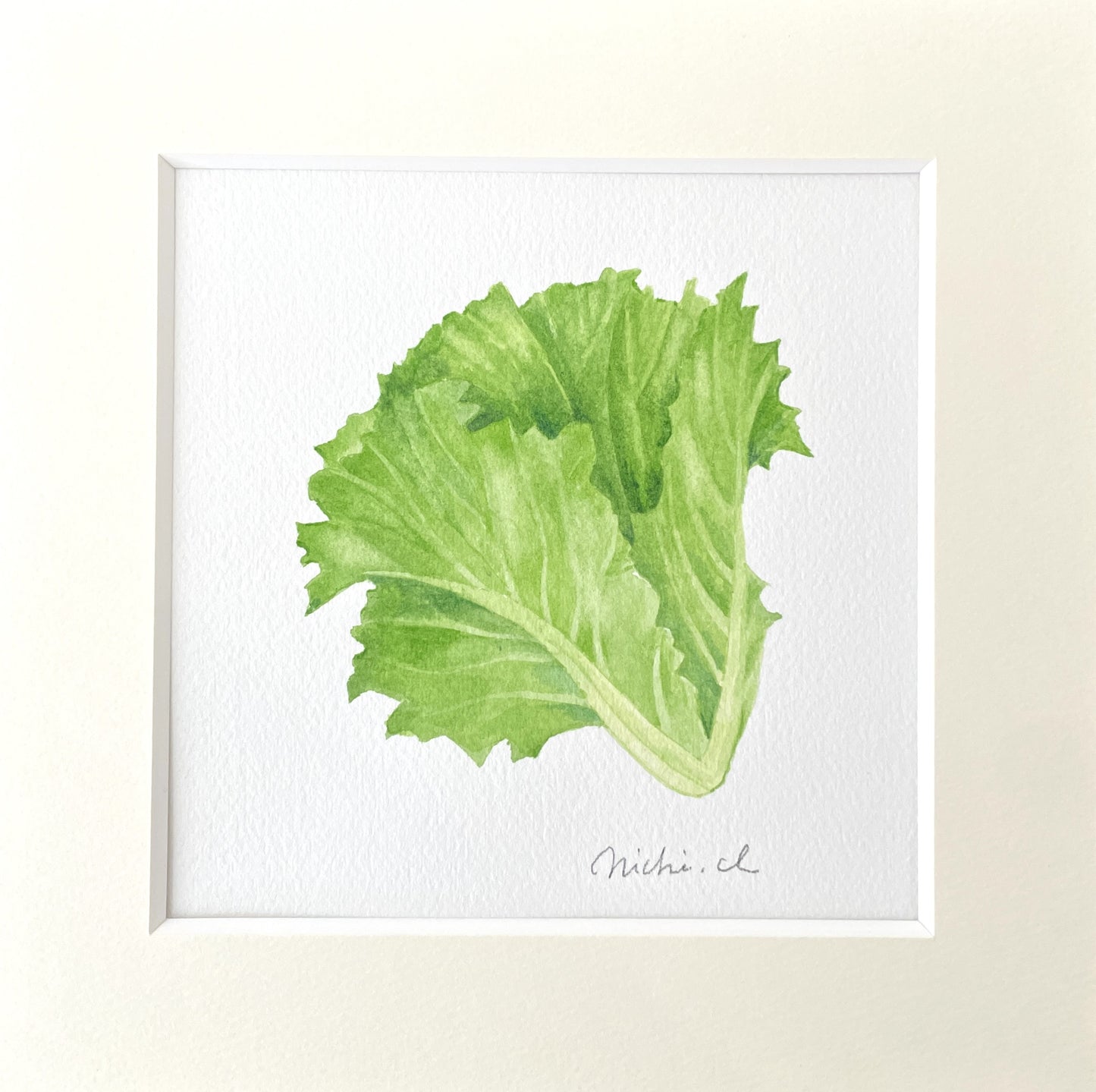 Lettuce 01